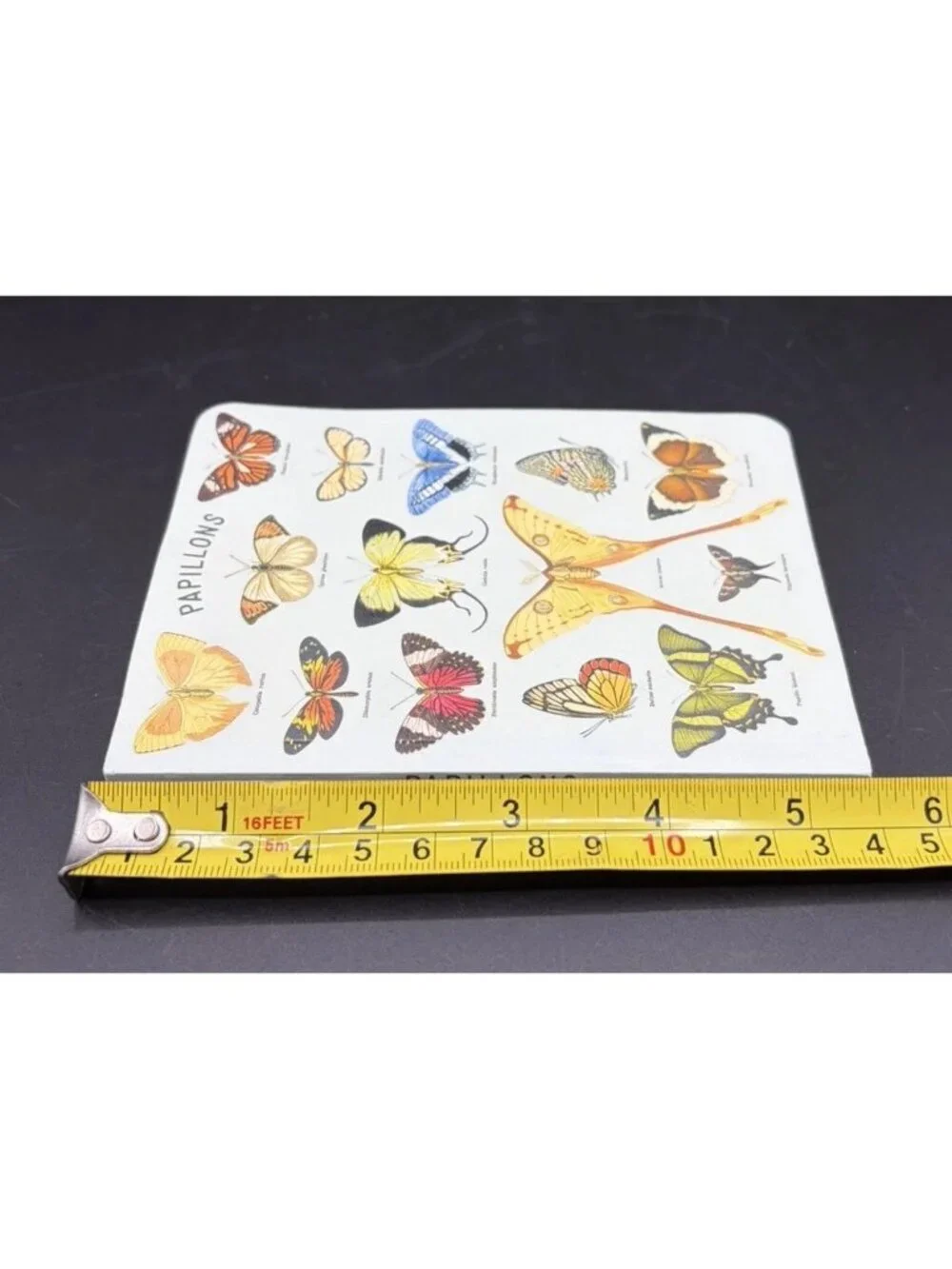 Cavallini & Co Butterflies Papillons Unlined Blank Journal Stationery USA